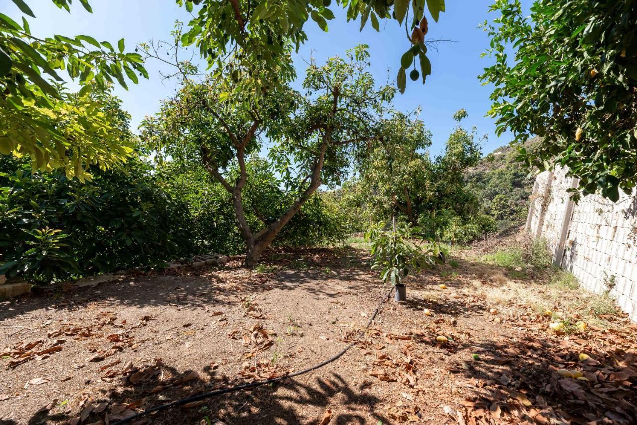 Casa Rural Entre Ojen Y Marbella 外观 照片